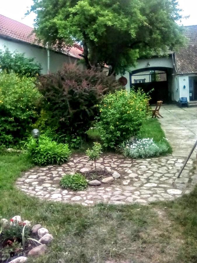 Casa Din Coltul Cetatii Villa Hărman Eksteriør bilde