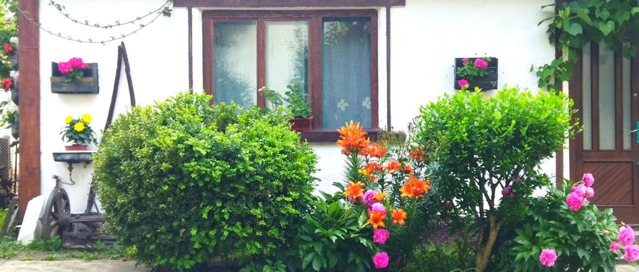 Casa Din Coltul Cetatii Villa Hărman Eksteriør bilde